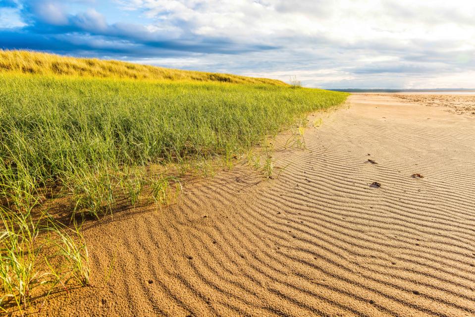  At Coves Haven, you can listen to the seals singing on the rocks when the tide is out