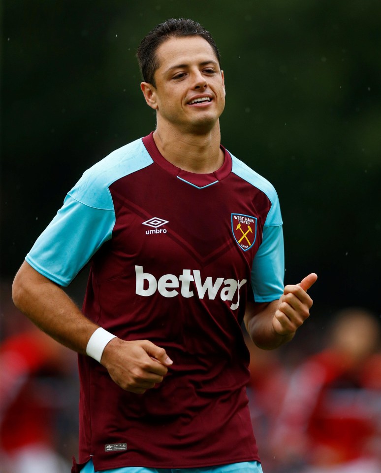 Javier Hernandez signed for West Ham from Bundesliga side Bayer Leverkusen for £16million