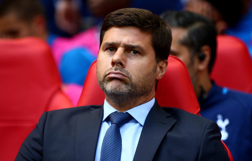  Mauricio Pochettino has not managed to add a single player to his Spurs squad