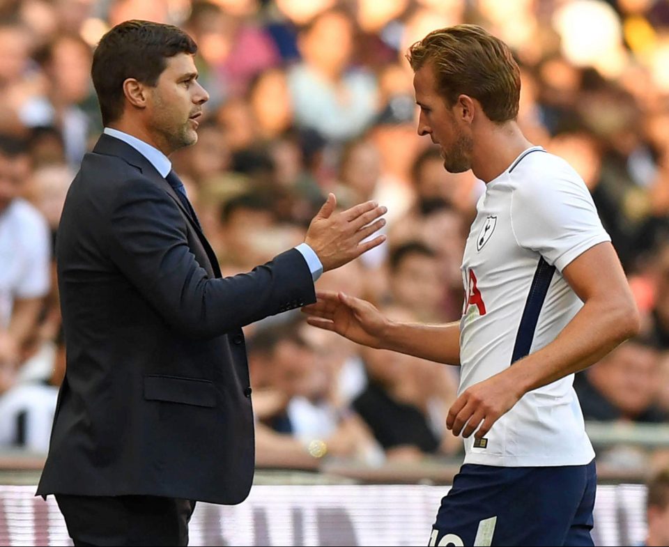  Mauricio Pochettino will rely on established talent like England striker Harry Kane - and the fact his side should still be improving