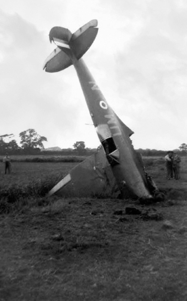 Another plane pictured having crashed into the grown after being shot down in the fighting