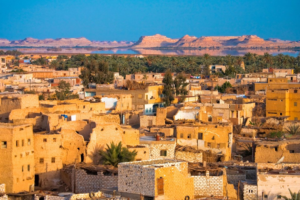 The Siwa Oasis is a town that is built in the middle of the Western Desert 