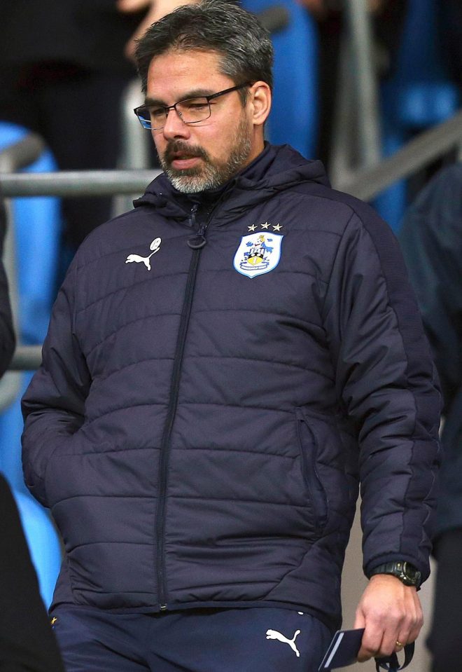  Huddersfield boss David Wagner has been very busy in the transfer market