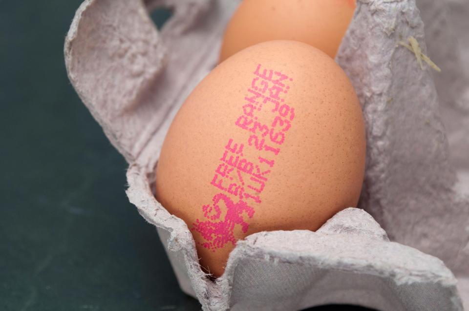  British eggs are not affected by the Dutch pesticide scandal