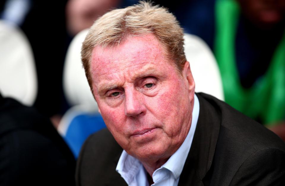  Birmingham boss Harry Redknapp has been desperate to have more attacking options at his new club