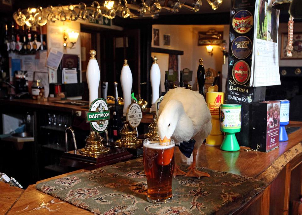  Star often joins 71-year-old Barrie for a pint in the local boozer