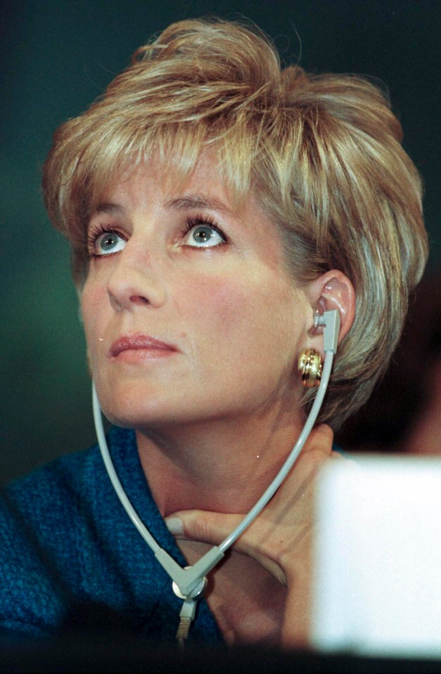 Princess Diana was taking on more ambassador work before she died