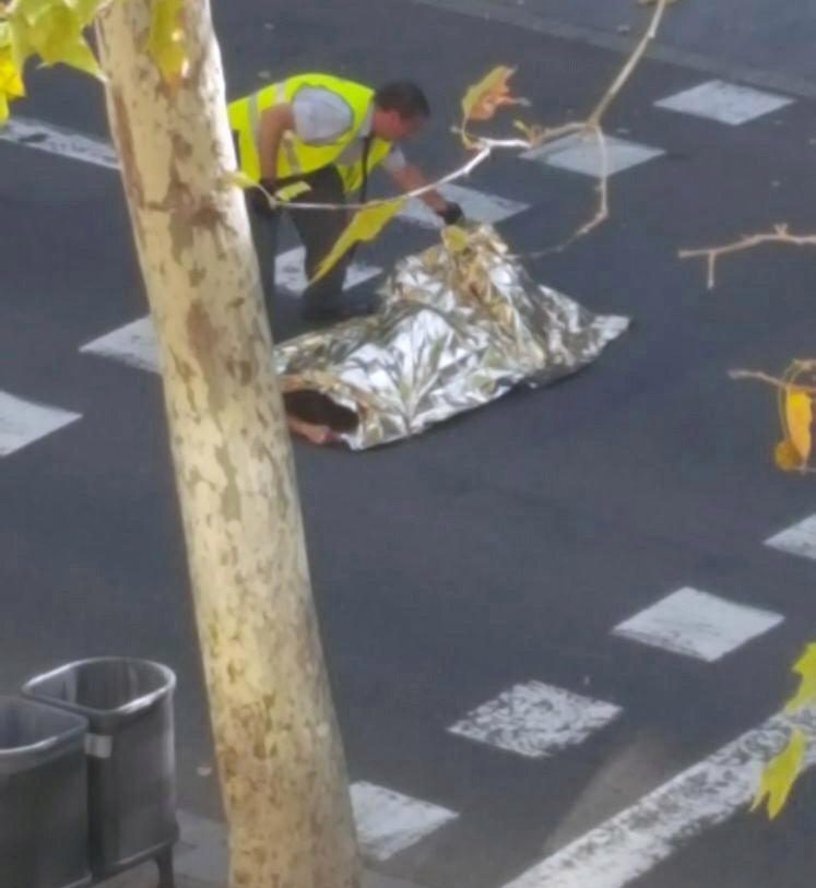  Another body covered by a foil blanket is checked by an investigator