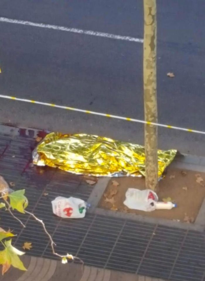  A body covered with a foil blanket on the ground which is splattered with blood