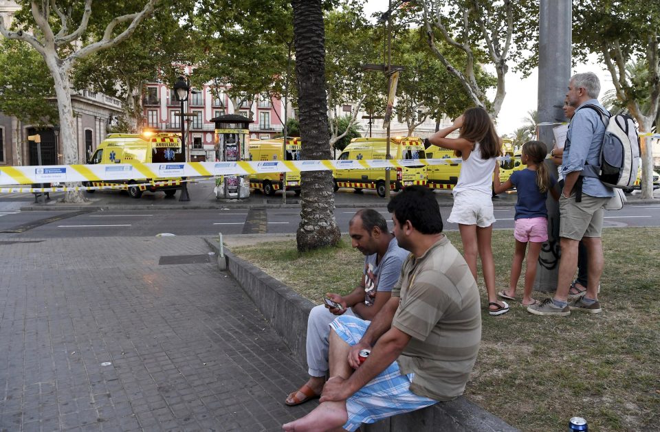  A sea of ambulances pictured near where the twisted mass killing took place