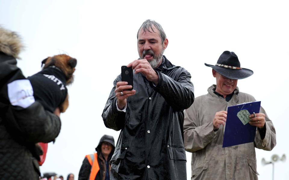  They took the judging of the dogs incredibly seriously