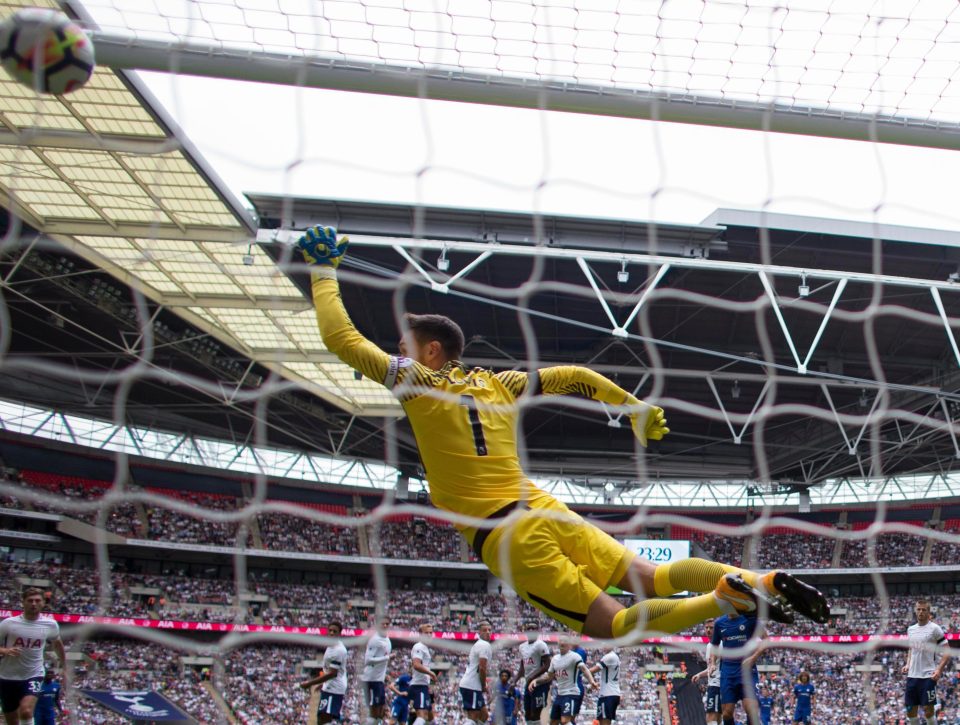  But there was nothing Lloris could do about Alonso's first-half belter