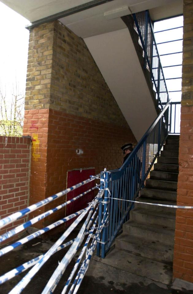  Damilola ran to a stairwell after being stabbed but bled to death in around 30 minutes