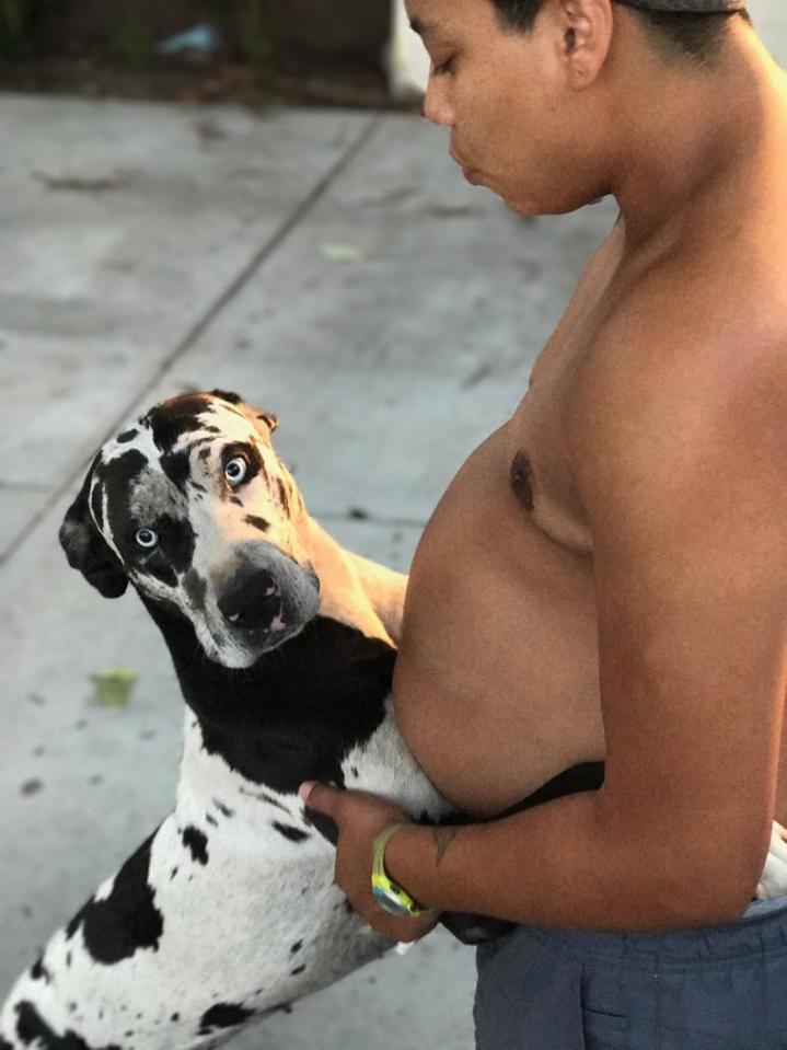  Alex, pictured with his dog Fred in July, realised he was transgender at 17 and started hormone treatment at 19