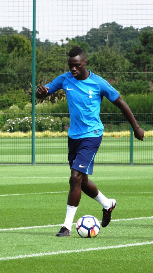  Davinson Sanchez has now received his work permit and has international clearance