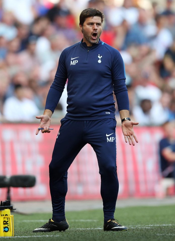  Mauricio Pochettino has splashed out £15m for the frontman