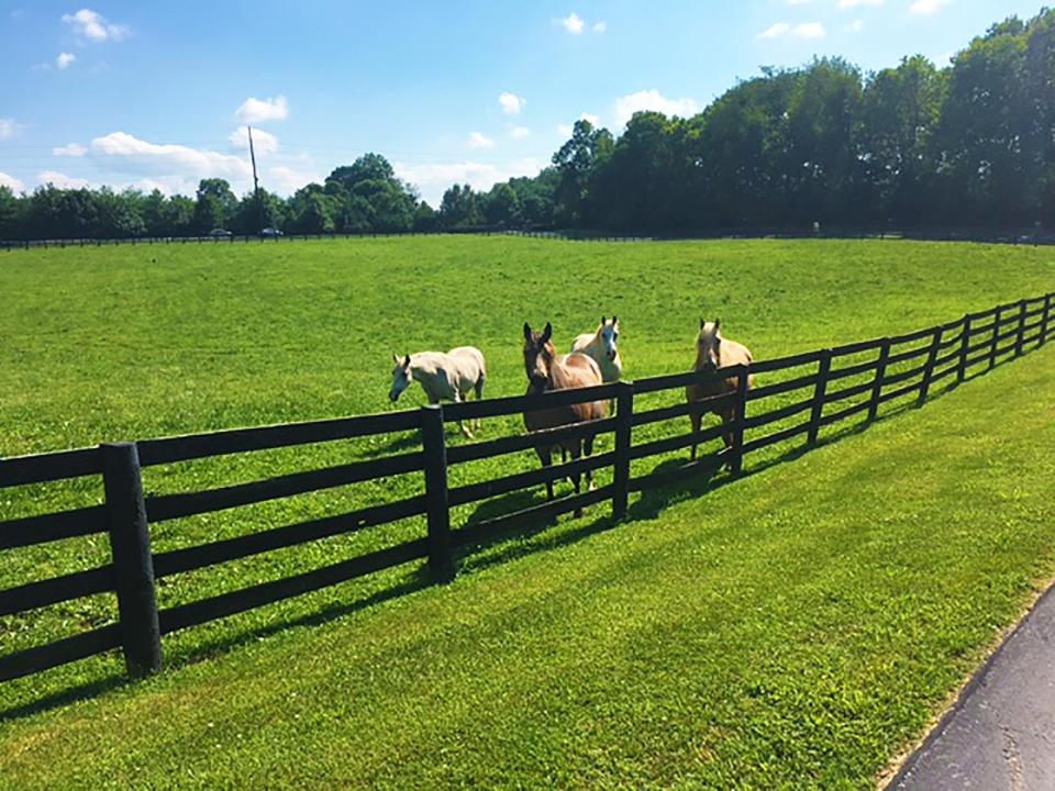  The farm house sits on 41 acres of land