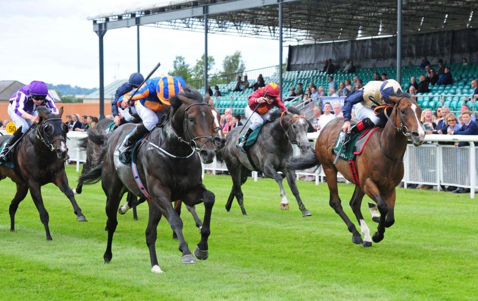  Frozen Angel (grey horse, red cap) finished behind Sioux Nation last time