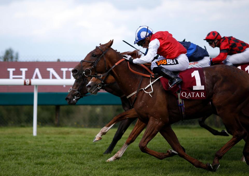  Soldier In Action heads the field for the prestigious race