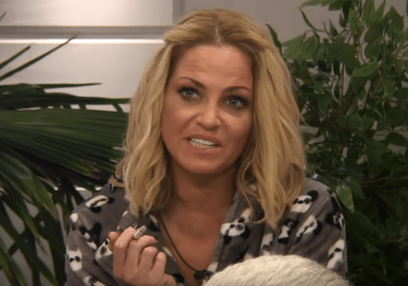  Sarah Harding took a swipe at Jemma Lucy having sex on TV