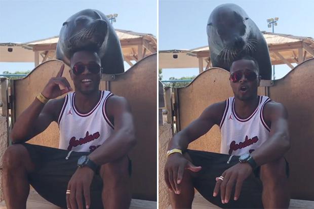 Patrice Evra enjoying some quality time with a seal