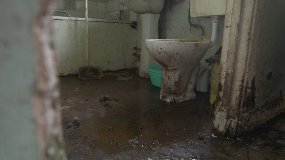  A leaky loo had only made matters worse, with dog faeces mixing with mud to form a dangerous brown sludge all over the floor