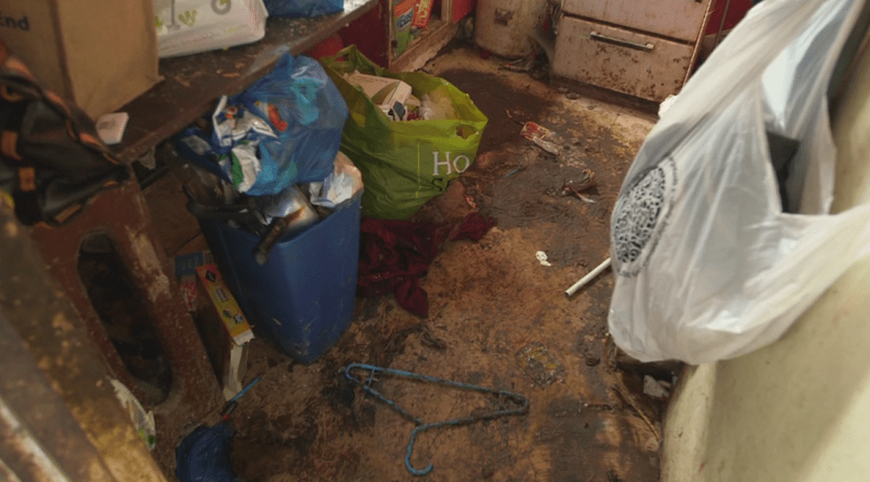  The house stank of dog faeces and mould, which wasn't helped by the leaking toilet