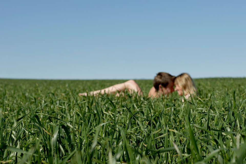 Dogging is the practice of having sex in public, often in cars and in front of strangers