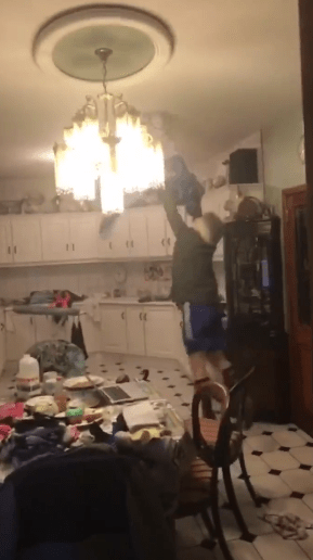  His son's hilarious commentary makes the video as his dad makes hapless attempts to shoo the bat away