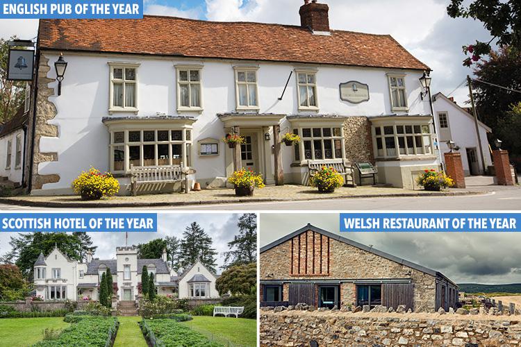 AA have revealed their selection of the best hotels, restaurants and pubs in the UK this year 