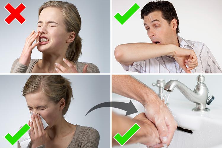  The best way to avoid spreading germs is to sneeze into your elbow if you cannot wash your hands straight away