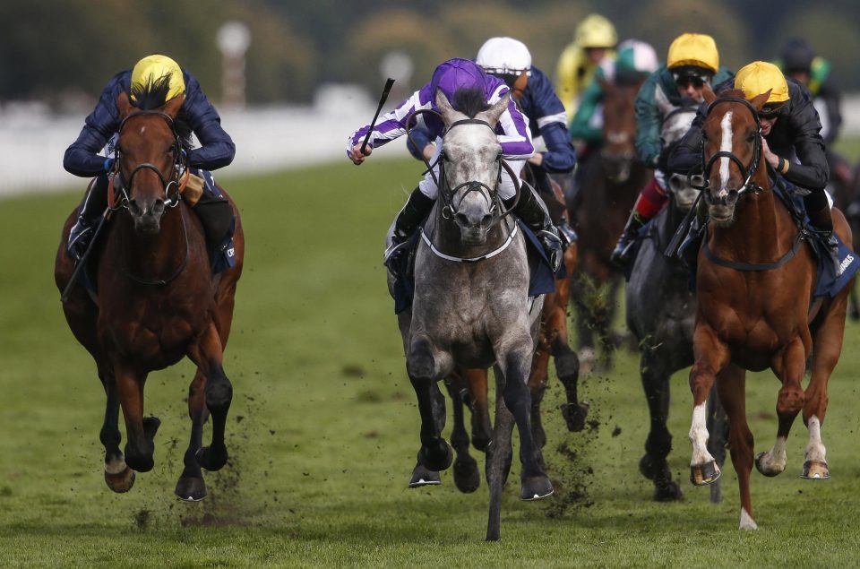  Capri (centre) holds off his challengers in the St Leger