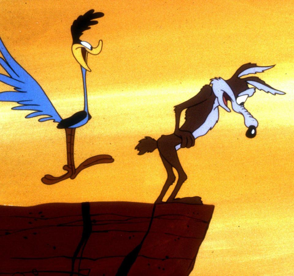  Wile E Coyote in Road Runner made the wild dog famous