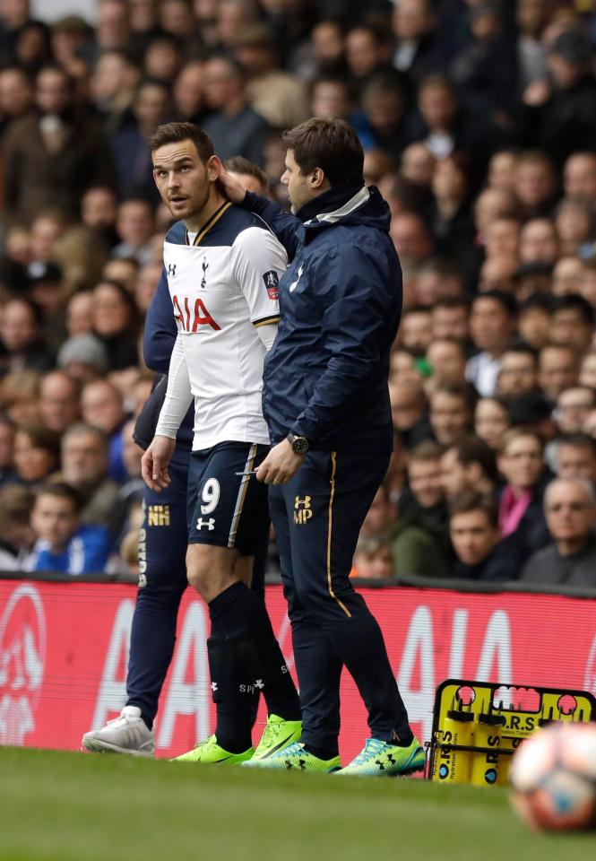  Mauricio Pochettino had claimed this week Janssen still had a role to play this season