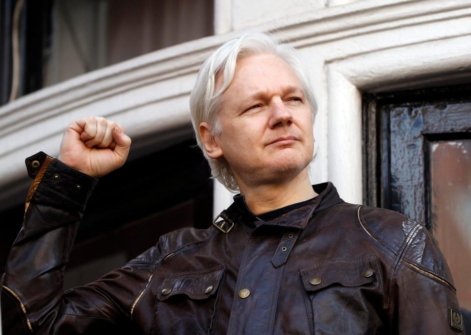  Julian Assange and Pamela Anderson have sparked speculation regarding a romantic attachment