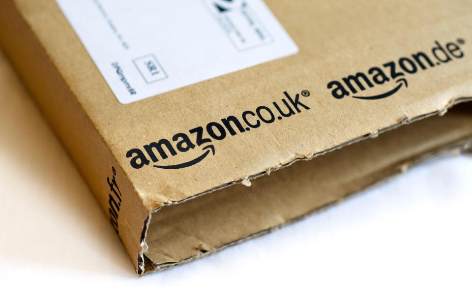  Terrorists can use online giant Amazon to easily order key components for building bombs