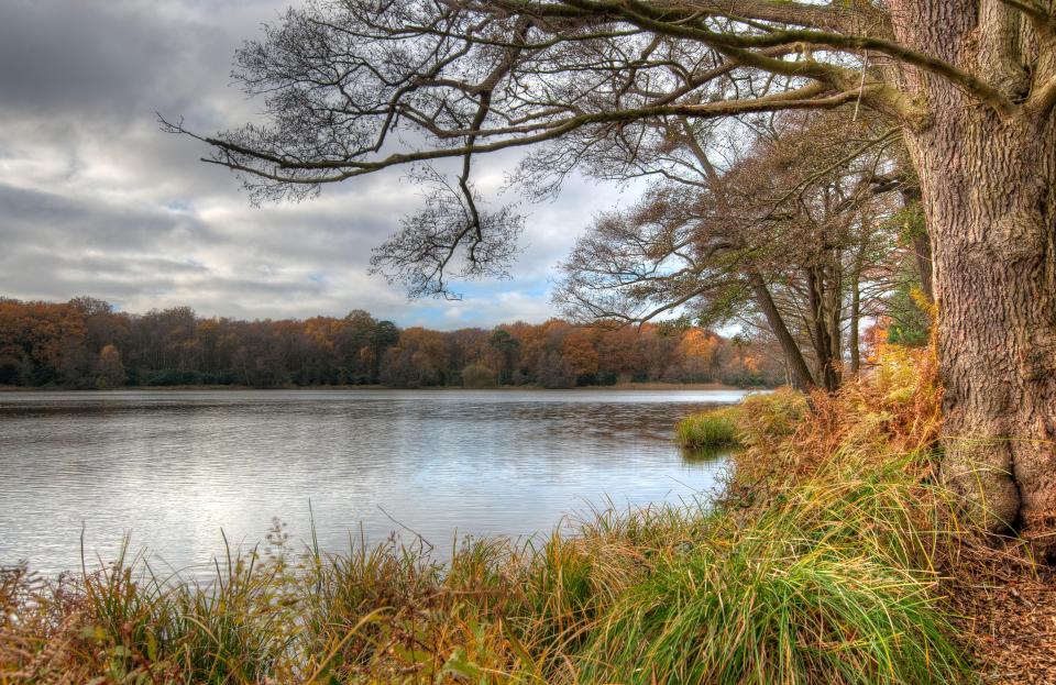 The area of Virginia Lake, a Surrey town named after its stunning lake and park, is the most expensive according to the study