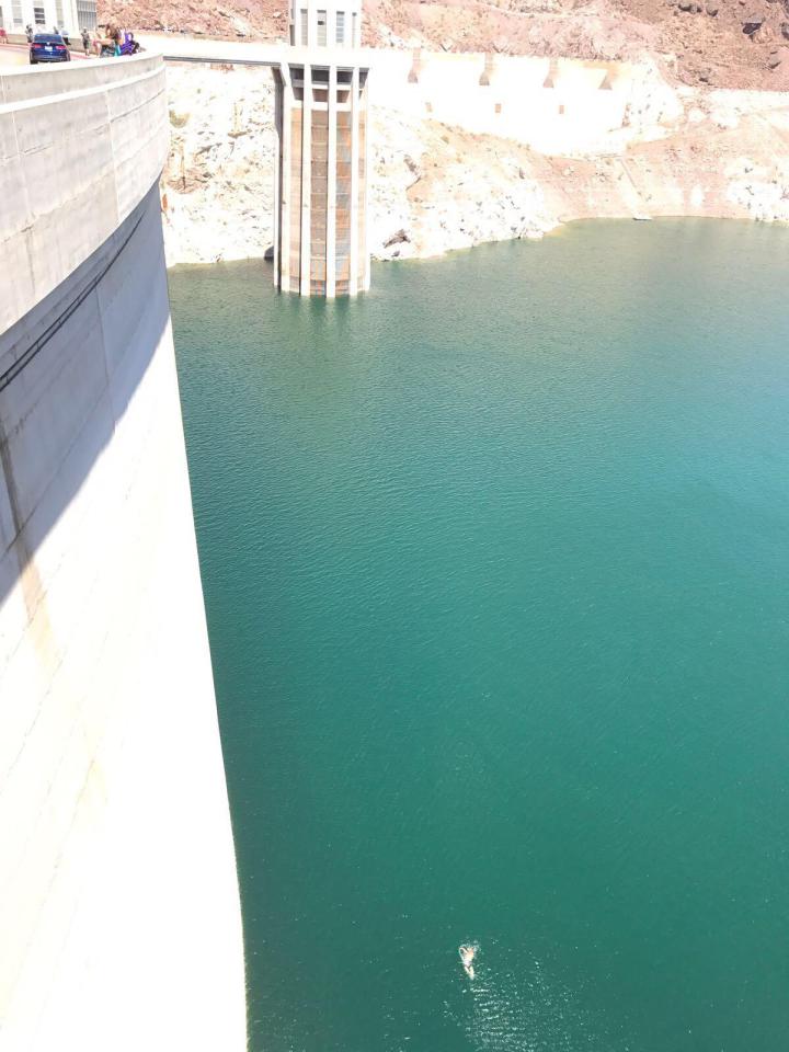  A Brit has become the first person to swim across the US's Hoover Dam