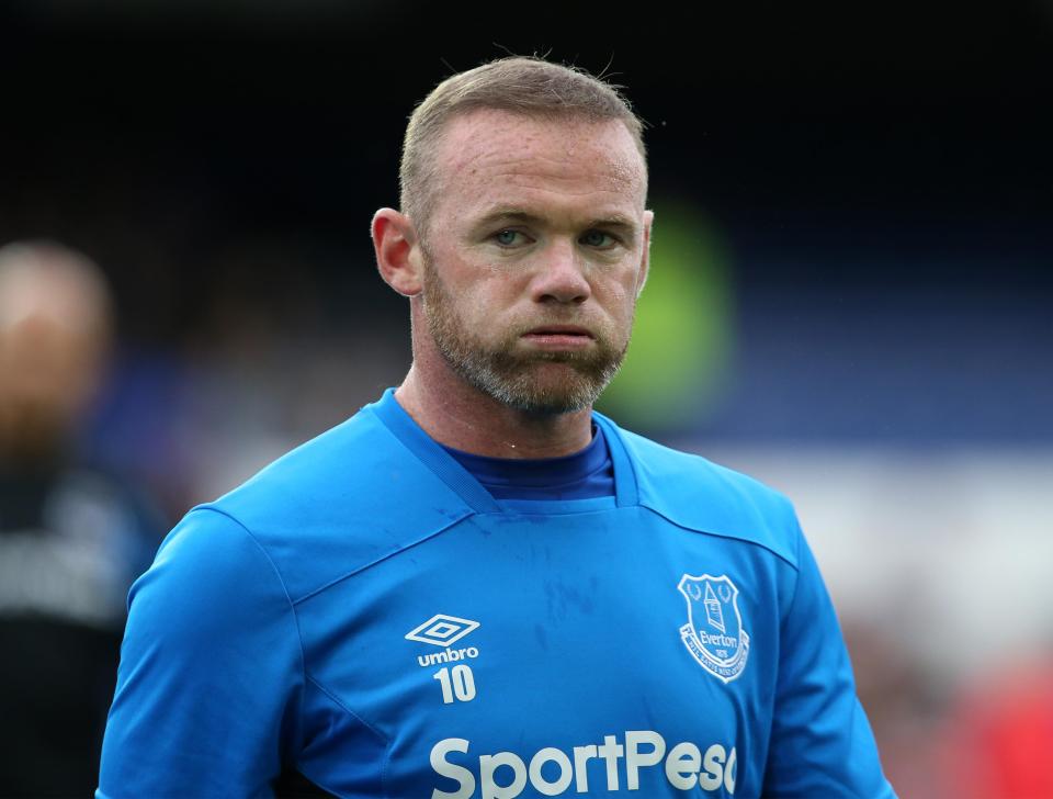  Wayne Rooney is in the Everton squad to face Tottenham this weekend