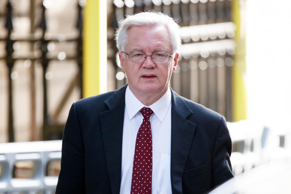  David Davis says the figure of £46billion is 'rubbish'