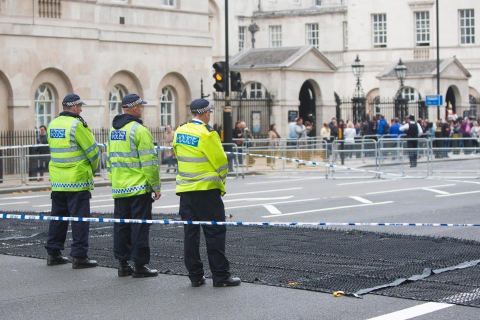  Officers said they "significantly reduce" the risk to crowds