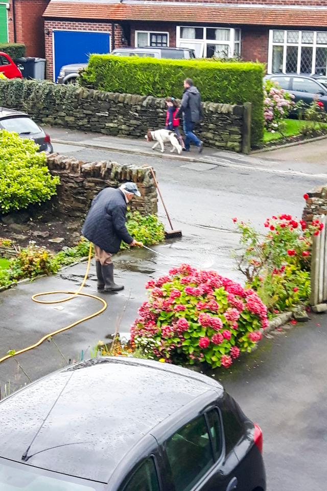  The animals were caught eating glass and flowers and leaving their mess on resident's drives