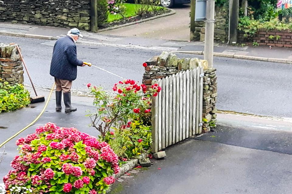  Residents were left to hose down their drives once the animals had left