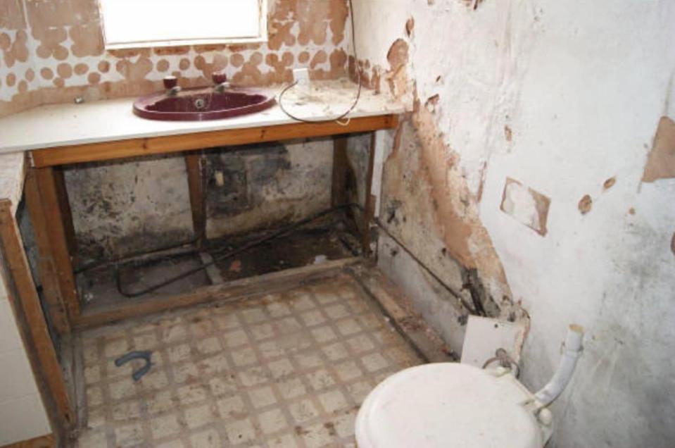  In one bathroom, wall tiles and even a cistern have been stripped out