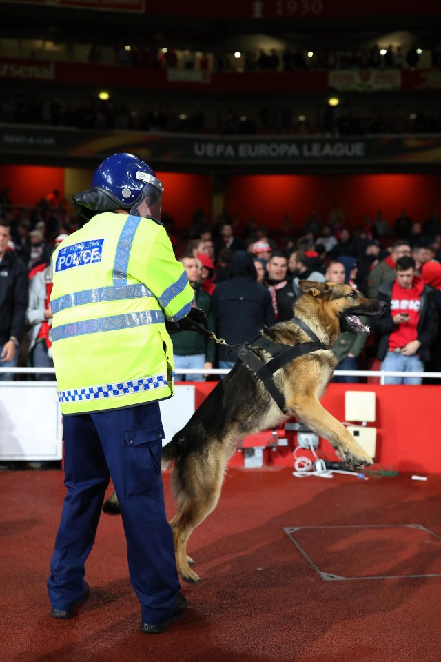  Riot police and dogs have attempted to diffuse the violence