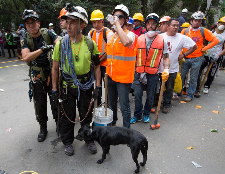 Volunteers and rescue workers line up to work in rescue operations on collapsed buildings 