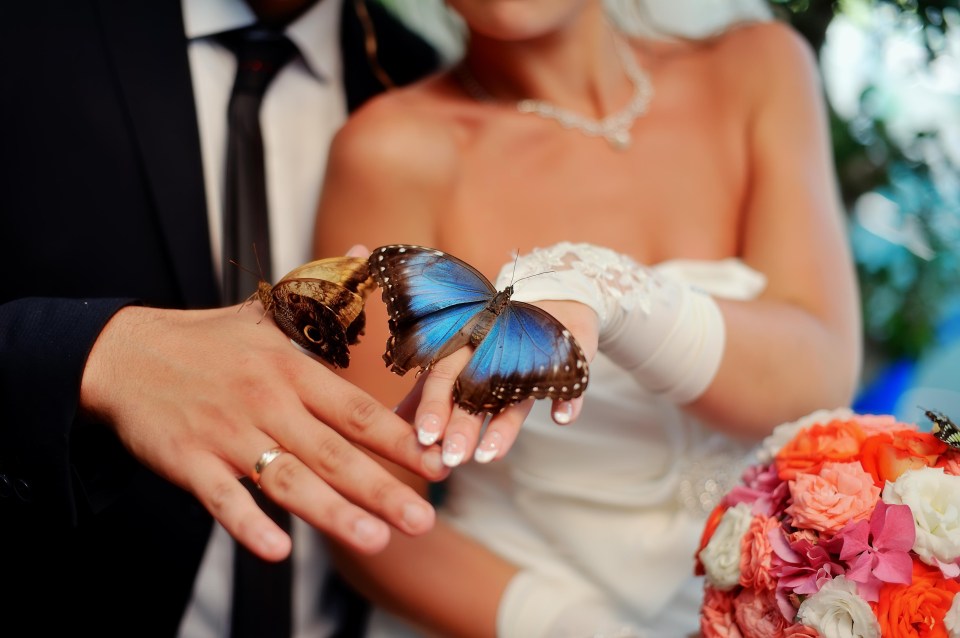 You would think that animal rights activists would be more concerned with the fact that butterflies are mailed through the post