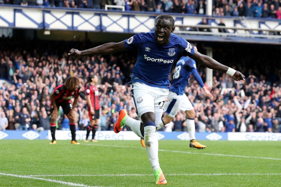 Oumar Niasse celebrates after firing Everton to victory