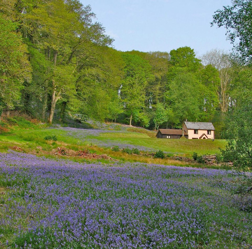  The cottage was lived in until the mid-20th century when it fell into decline and dereliction