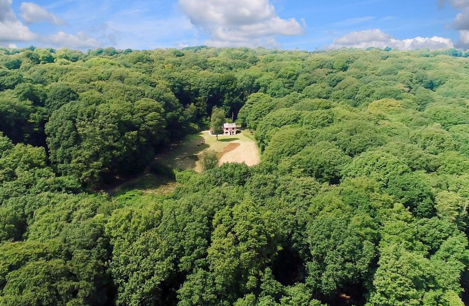  This magical cottage located in its own woodland clearing has gone on the market of £1.25million